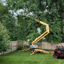 Best Lawn Drainage Solutions  in Port Ewen, NY